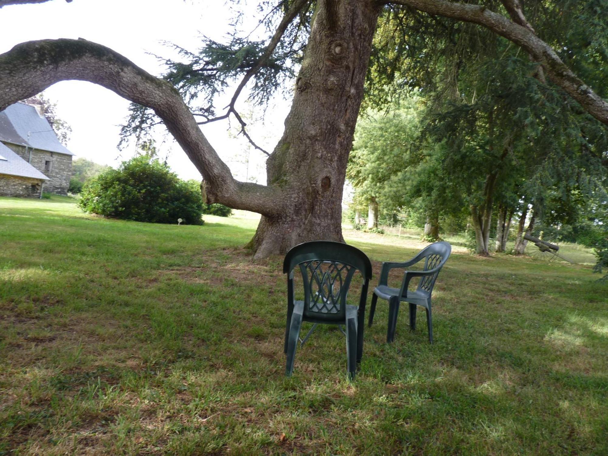 Chateau De Craon Comblessac Εξωτερικό φωτογραφία