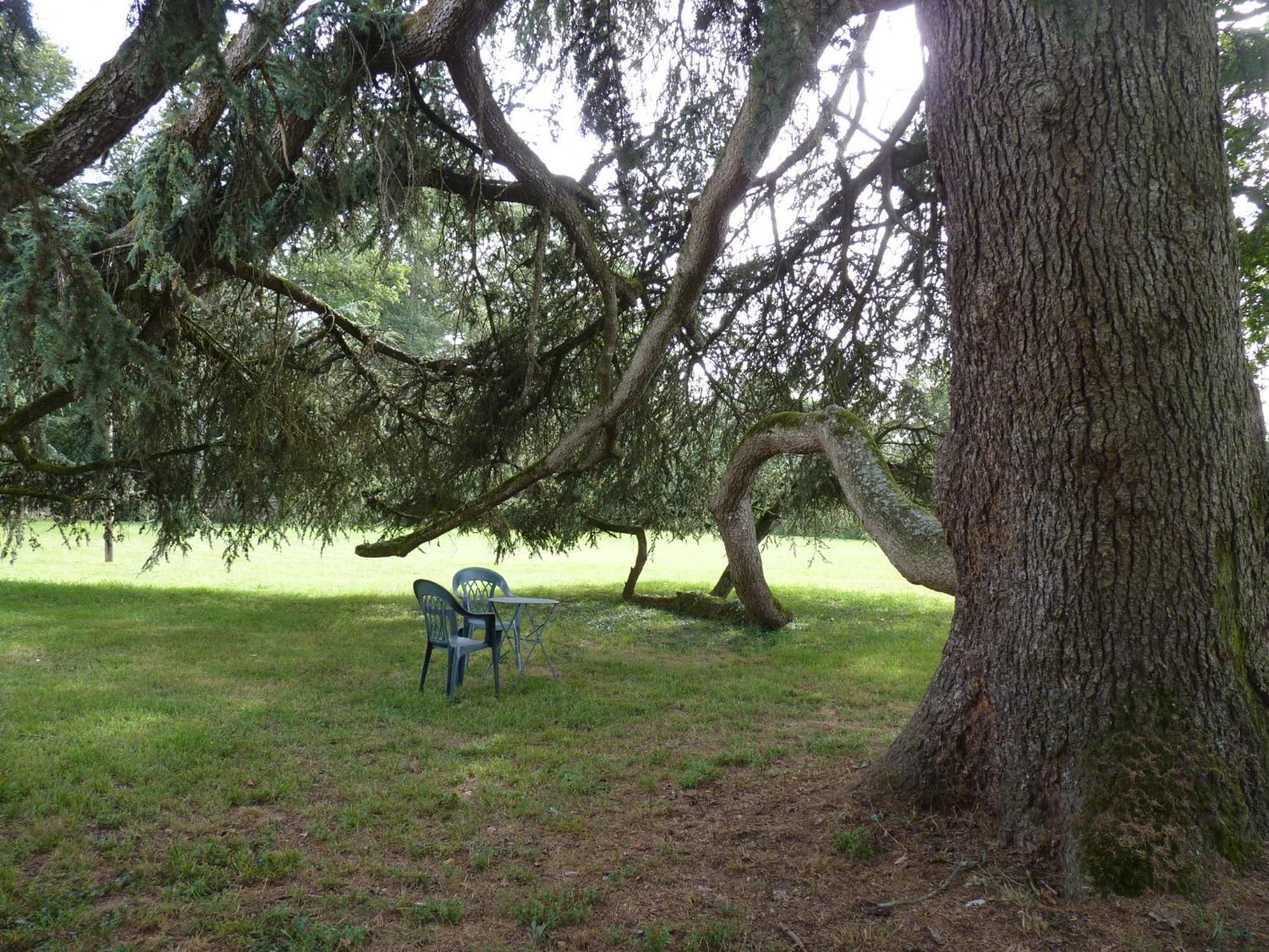 Chateau De Craon Comblessac Εξωτερικό φωτογραφία